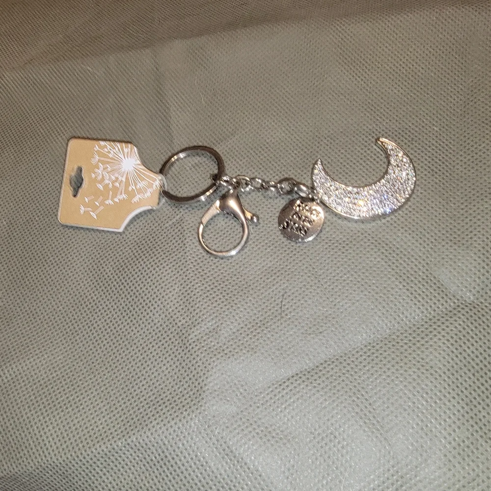 Key Chain - Picture 3 of 3